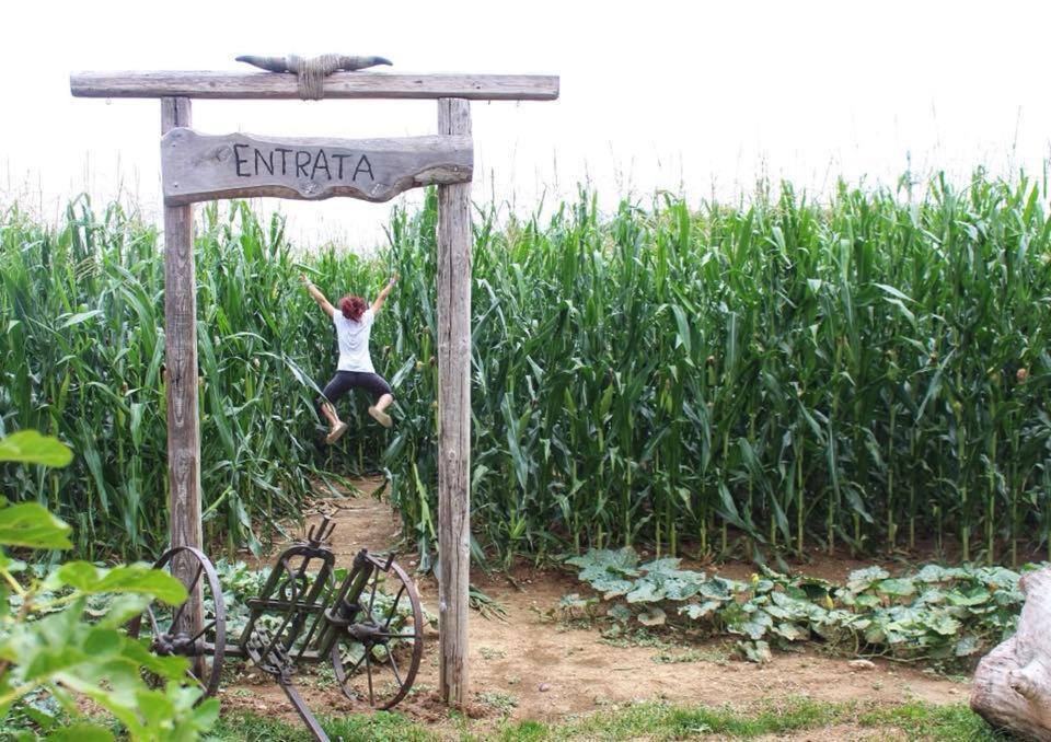 La Selce Farmhouse Bagnario Arsa Luaran gambar