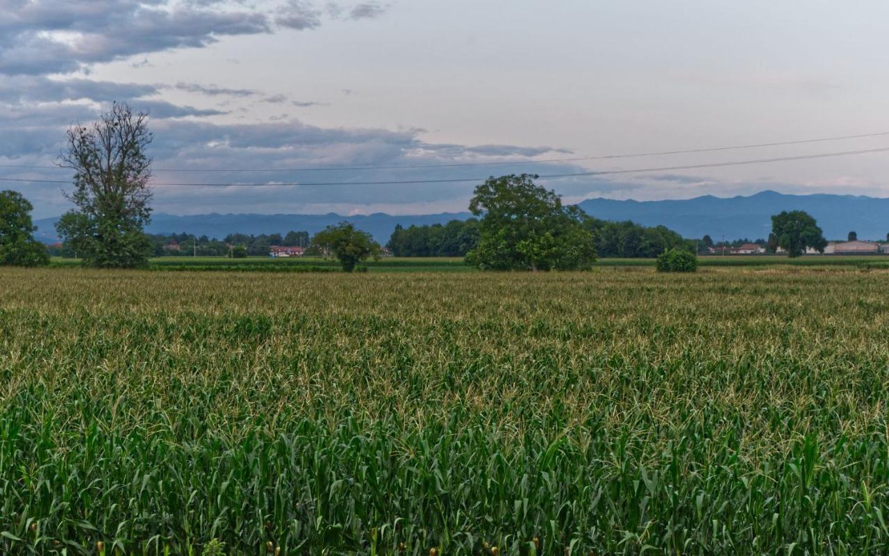La Selce Farmhouse Bagnario Arsa Luaran gambar