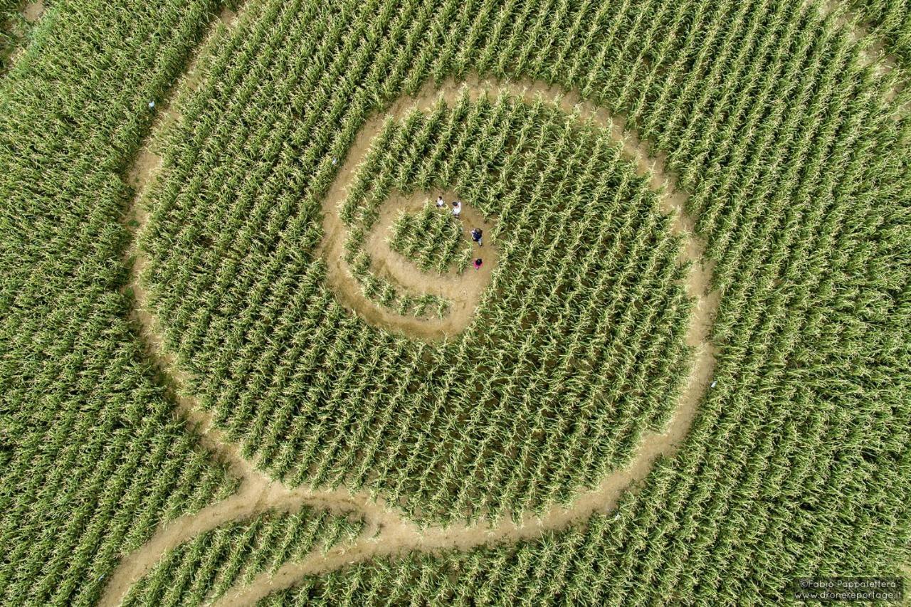 La Selce Farmhouse Bagnario Arsa Luaran gambar